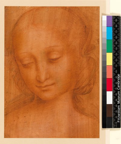 Naisen pää (liitu paperille) tekijältä Giovanni Pietro Rizzoli Giampietrino