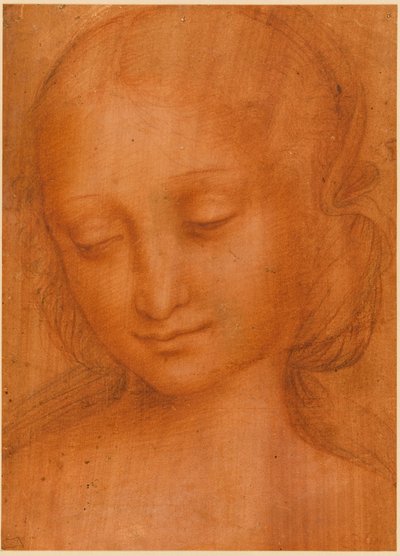 Naisen pää tekijältä Giovanni Pietro Rizzoli Giampietrino
