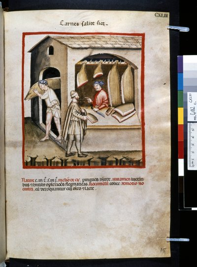 Ububchasym de Baldachin Theatrum sanitatis: "Carnes Salite Si ce", 1300-luvun ensimmäinen vuosikymmen (pienoiskuva). tekijältä Giovannino de