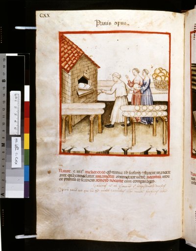 Ububchasym de Baldachin Theatrum sanitatis: "Panis Op Us", 1300-luvun ensimmäinen vuosikymmen (pienoiskuva). tekijältä Giovannino de