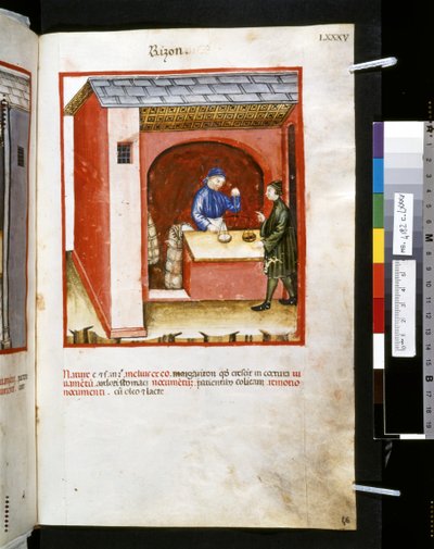 Ububchasym de Baldachin Theatrum sanitatis: "Rizon", 1300-luvun ensimmäinen vuosikymmen (pienoiskuva). tekijältä Giovannino de