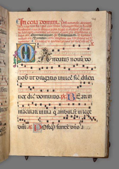 Asteittainen, c. 1520. tekijältä Girolamo dai Libri