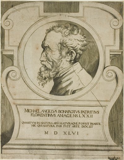 Michelangelo tekijältä Giulio Bonasone