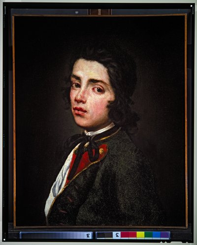 Nuoren pojan muotokuva, päiväämätön (kangas) tekijältä Giuseppe (1655 1743) Ghislandi
