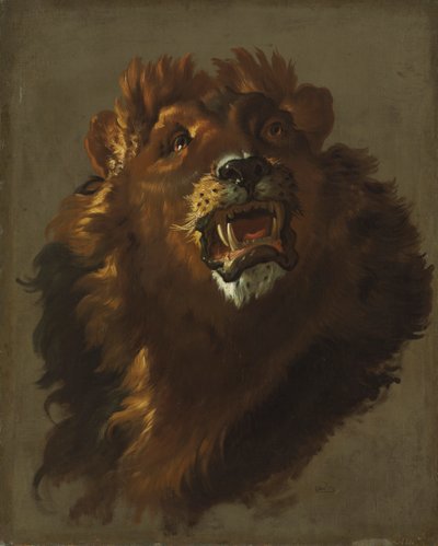 Leijona tekijältä Giuseppe Baldrighi