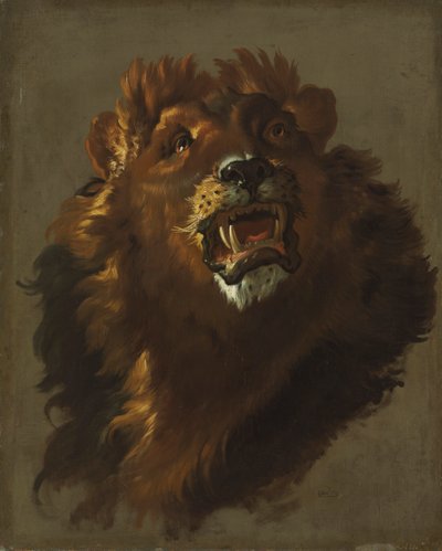 Leijona, 1750-luku. tekijältä Giuseppe Baldrighi