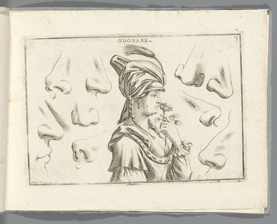 Haju Odorare (otsikko esineessä) tekijältä Giuseppe Maria Mitelli