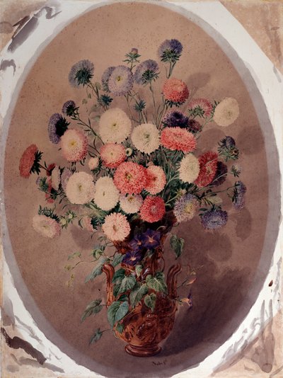 Joukko koiranputkea Giuseppe Rodan akvarelli (1800-luku) 1863 Koko 70x51 cm Genes, Galleria d