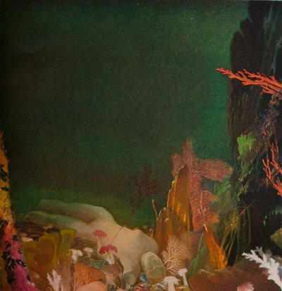 Meren alla, 1904-1924, 1924 tekijältä Glyn Warren Philpot