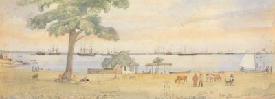 Greytown tekijältä Godfrey Thomas Vigne