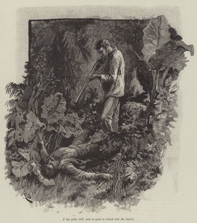 Uma eli Falesan ranta, kirjoittanut Robert Louis Stevenson tekijältä Gordon Frederick Browne