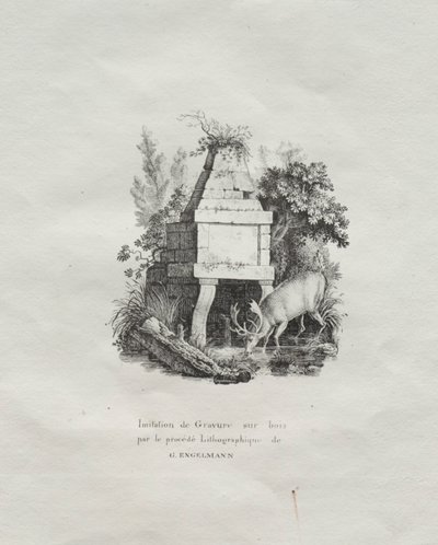 Litografisten esseiden kokoelma: Puupiirrosta jäljittelevä suihkulähde, n. 1816. tekijältä Gottfried or Godefroy Engelmann