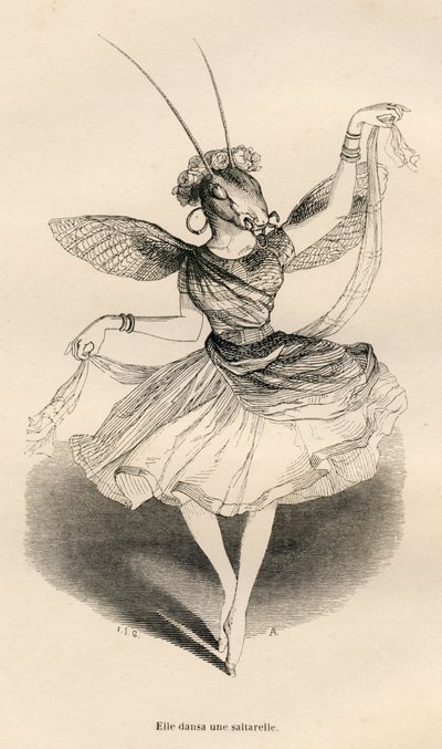 aVa ballar una saltarelle. Miniatures il·lustrades per JJ Granville. Gravat signat Andrew, Best i Leloir a la part titulada "Les aventures d