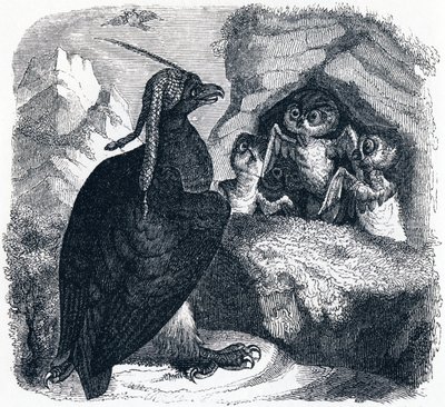 Kotka ja pöllö, kuvitus teoksesta "Fables of La Fontaine", tekijältä Grandville