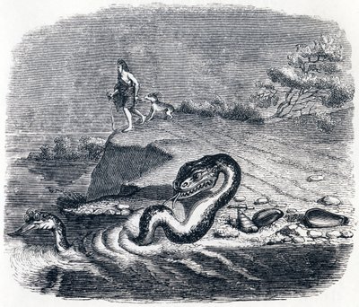 Käärmeen etumatka ja häntä (La tete et la queue du serpent) - La Fontainen sadut tekijältä Grandville