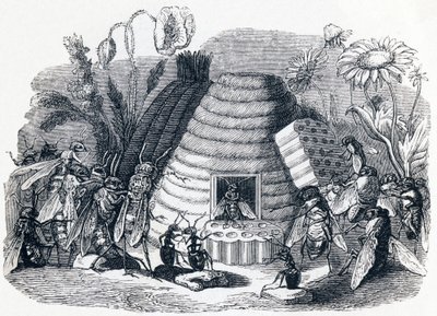 Hornetit ja hunajakärpäset - La Fontainen Fables tekijältä Grandville