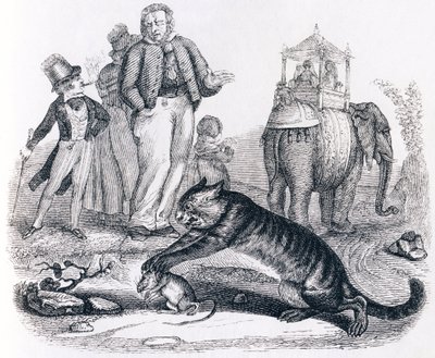 Rotta ja norsu (le rat et l