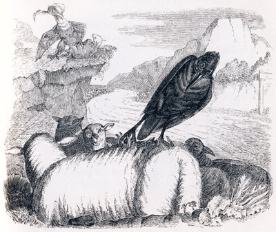 Korppi, joka haluaa matkia kotkaa - La Fontainen Fables tekijältä Grandville