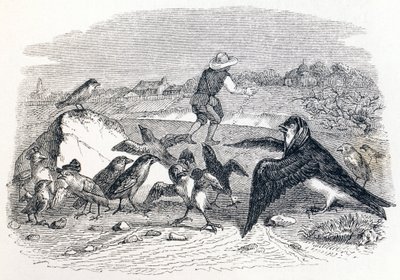 Pääskynen ja pienet linnut - La Fontainen Fables tekijältä Grandville