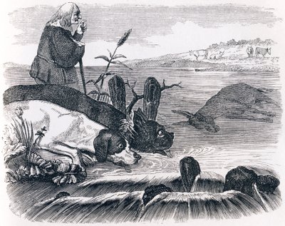 Kaksi koiraa ja kuollut aasi - La Fontainen Fables tekijältä Grandville