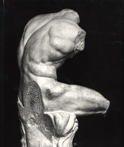 Belvederen vartalo (marmori) (m/w kuva) tekijältä Greco Roman Greco Roman