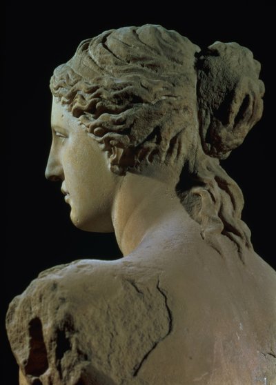 Venus de Milo, yksityiskohta takaraivosta, hellenistinen kausi, n.100 eKr. marmori, etukuva ks. 14152. tekijältä Greek