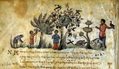 Metsästys haukalla ja lintujen pesien vangitseminen. Oppianus De Venationen kreikkalainen käsikirjoitus 1200-luvulta. tekijältä Greek School