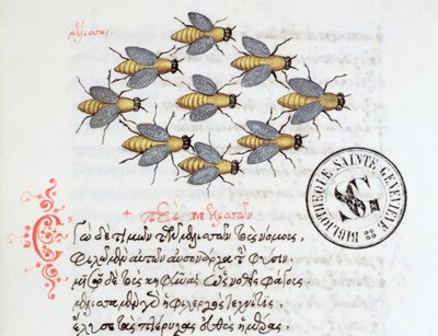 Ms 3402 Bees, Manuel Philesin bestiaarista, 1566 tekijältä Greek School