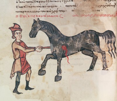 Ms Grec 2244 fol.37v Leikkaus hevosella tekijältä Greek School