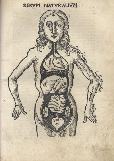 Filosofinen Margarita Anatomia, 1504 tekijältä Gregor Reisch