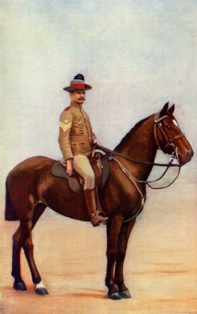 "New South Wales Lancersin kersantti-majuri", 1900. tekijältä Gregory and Co