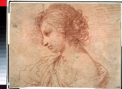 Nuoren tytön muotokuva. (Nuoren naisen rintakuva) tekijältä Guercino (1591-1666)