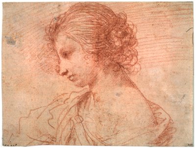 Nuoren naisen rintakuva 1600-luvulta tekijältä Guercino