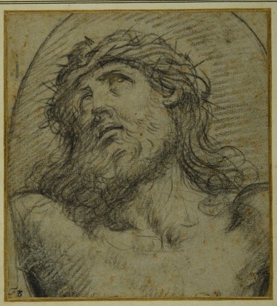 Ristiinnaulitun elävän Kristuksen pää ja hartiat (musta liitu carta azzurrassa) tekijältä Guido Reni