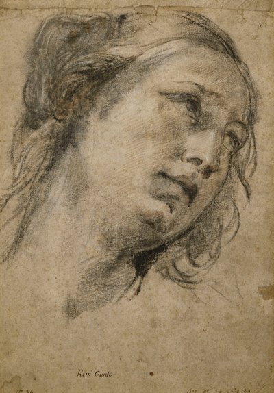 Oikealle katsovan naisen pää, tekijältä Guido Reni