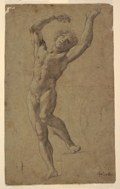Tutkimus St.Sebastianille, Museo Pomarici Santomasi, Puglia, Italia tekijältä Guido Reni