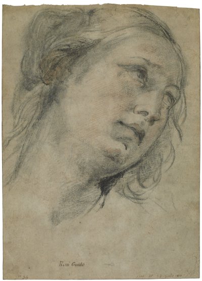 Ylöspäin katsovan nuoren naisen pää, n. 1609 (musta-punainen liitu, jossa valkoista liitua ruskealle levitetylle paperille) tekijältä Guido Reni