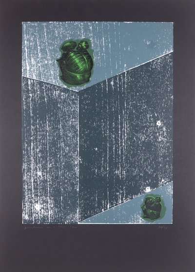 Näkymätön huone nro 8, The Dream Of My Soul, 2019 (puupiirros ja silkkipaino) tekijältä Guilherme Pontes