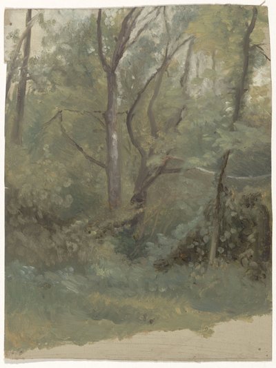 Metsänäkymä tekijältä Guillaume Anne van der Brugghen