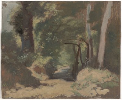 metsätie tekijältä Guillaume Anne van der Brugghen