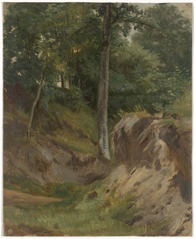 Kuiva puro metsässä tekijältä Guillaume Anne van der Brugghen