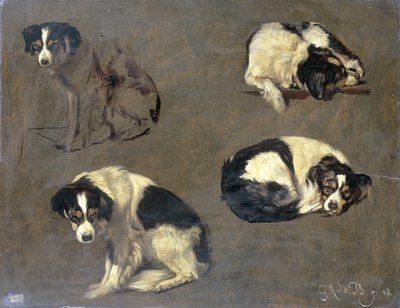 Neljä tutkimusta koirasta tekijältä Guillaume Anne van der Brugghen