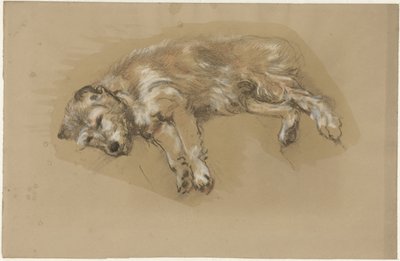 valehteleva koira tekijältä Guillaume Anne van der Brugghen