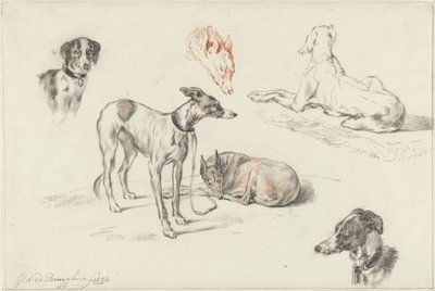 Koirien tutkimukset tekijältä Guillaume Anne van der Brugghen
