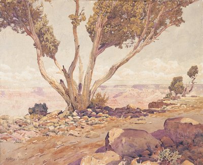 Grand Canyon tekijältä Gunnar Widforss