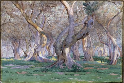 Oak Grove tekijältä Gunnar Widforss