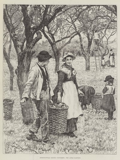 Agricultural Scenes, marraskuu, Apple Harvest tekijältä Gunning King