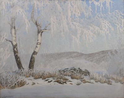 Valkoinen huurre auringonpaisteessa tekijältä Gustaf Fjæstad