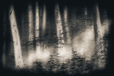 Sumuisen metsän unelma tekijältä Gustav Davidsson