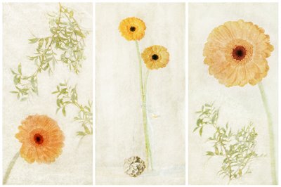 Soft Gerbera -kolmiosainen teos tekijältä Gustav Davidsson